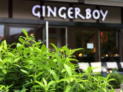 Фото: Gingerboy